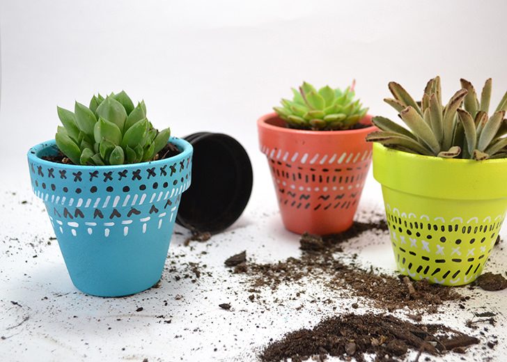 https://www.dreamalittlebigger.com/wp-content/uploads/2016/04/pattern-painted-colorful-succulent-clay-pots-dreamalittlebigger-006-728x520.jpg