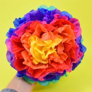 Tissue Paper Pompoms ⋆ Dream a Little Bigger