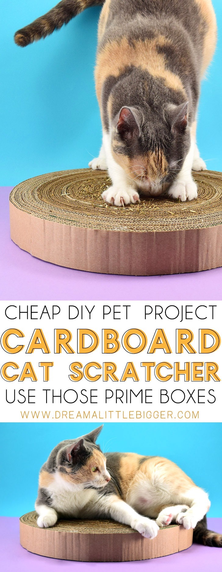 cardboard cat scratcher pets at home